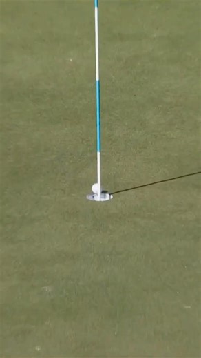 What. A. Shot.🏌️‍♂️Snedeker for 🦅