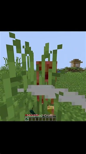 This Minecraft Mod Changes EVERYTHING 😳