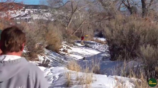 An ace a day keeps the off-season scaries away! 57 days until the 2026 season 🥏 | Disc Golf Pro Tour