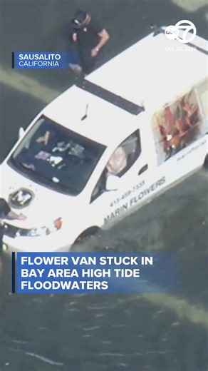 Somebody’s gonna be missing their flowers…This Marin County flower van got stuck in feet of floodwater in Sausalito Wednesday amid high tides. SKY7 video shows two rescuers attempting to push the van back out of the flooding. Latest updates at the link. ⠀ #hightides #flooding #northbay #elnino #abc7news