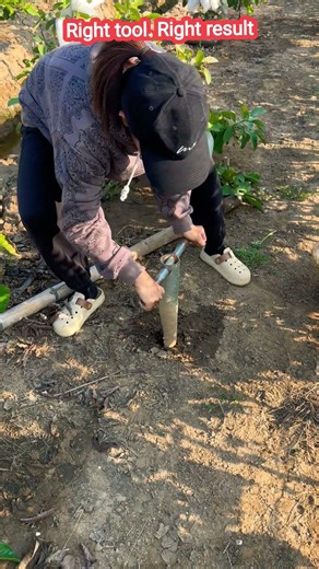 Dig Faster, Work Smarter | Post Hole Digger#shortsfeed #shorts