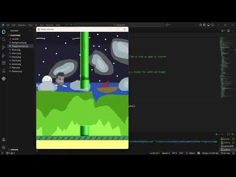 Flappy Hasnaan (Flappy Bird Clone)