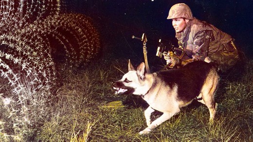 The secret dog teams that tracked Viet Cong fighters through the jungle