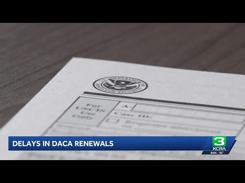 DACA renewal delays leave CA recipients facing job loss, deportation risks