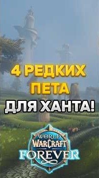 4 UNIQUE HUNTER PETS IN WOW FOREVER - WHERE TO TAME THEM #worldofwarcraft #wowforever