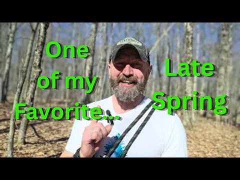 The One about Late Spring being One of my Favorite Times of Year.