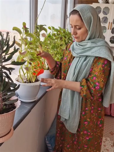 Explore the United States