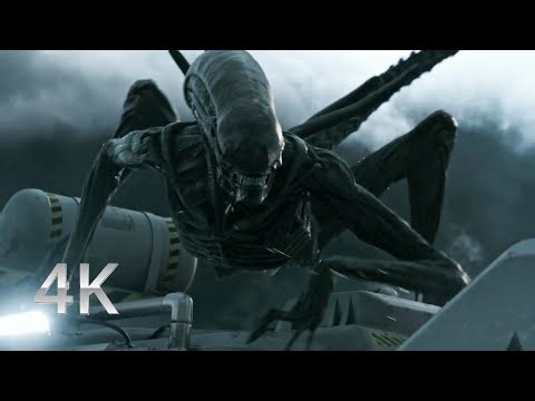 Angry Xenomorph - Alien: Covenant (2017) 4K