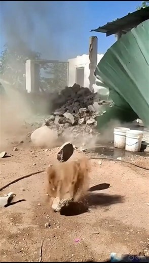 Epic Dust Explosion Demolition Chaos!
