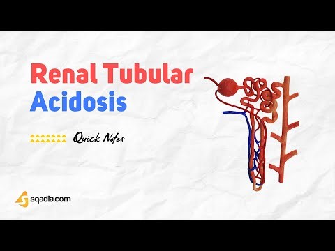 Renal Tubular Acidosis | Introduction