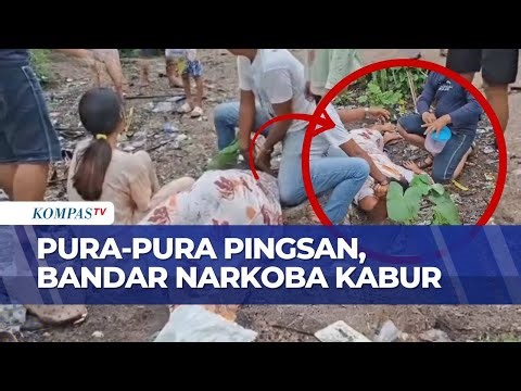 Dramatis! Wanita Diduga Bandar Narkoba Masuk DPO Usai Kabur Saat Penangkapan | BORGOL
