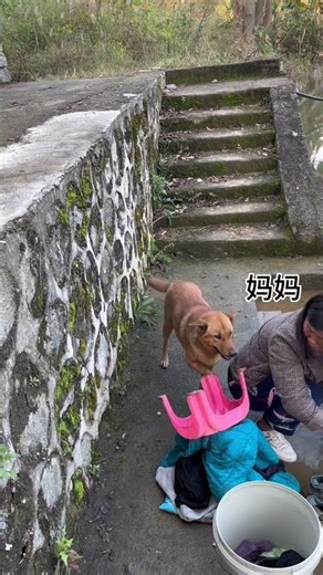 Even Big Yellow feels sorry for its owner.