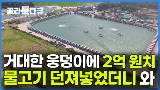 2억 원치 고기 넣은 낚시터. 낚싯대 던졌더니 고기가 계속 올라온다｜극한직업｜#골라듄다큐