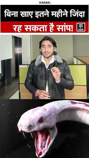 प्रकृति का चमत्कार, सांपों की Slow Metabolism Power भूखे रहकर भी ज़िंदा रह सकते हैं !#shorts