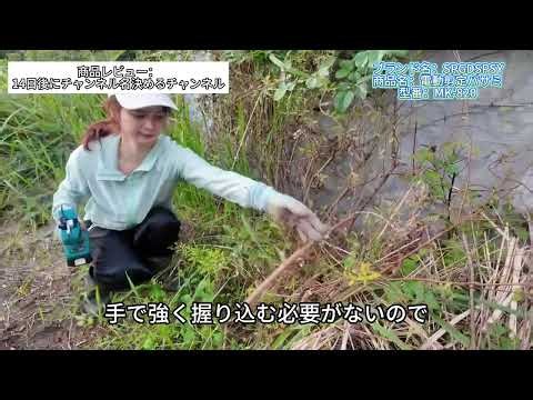 【えっ、初めてなのに！？】電動剪定バサミ＆伸縮ポールで庭木のお手入れ！初心者でも使いこなせる？【Part1】｜SPGDSPSY電動剪定バサミ
