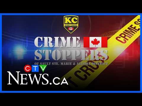 OPP release surveillance images in Wawa mischief & theft investigation