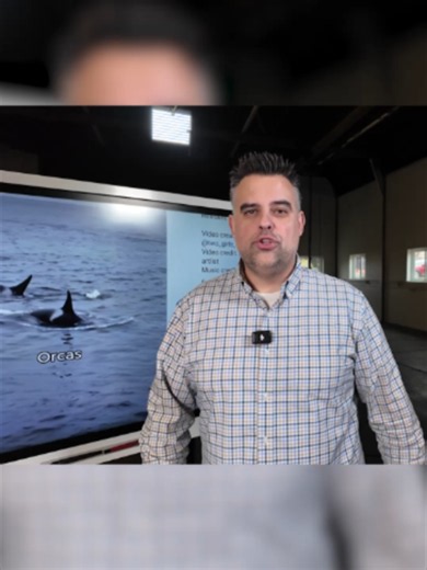Should We Fight for the Orcas? Facts About Snake River Dams & Salmon