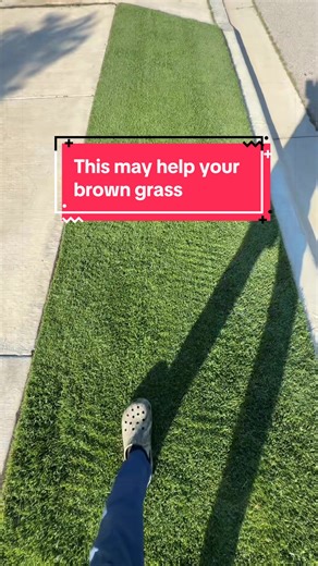 Transform Your Lawn to Dark Green