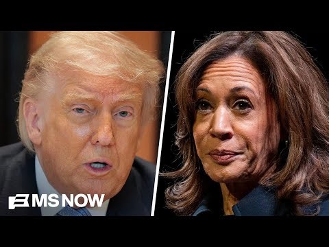 As Dems prep for midterms and 2028, they consider what led to their 2024 loss