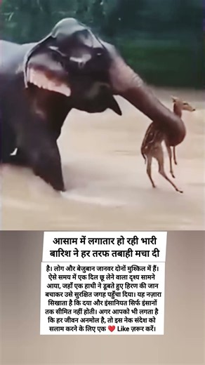 Elephant Saves a Deer During Assam Floods! 🐘❤️ Nature's Most Emotional Rescue | Must Watch! 😭