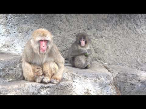 They Called It Bullying. Punch Called It Something Else.