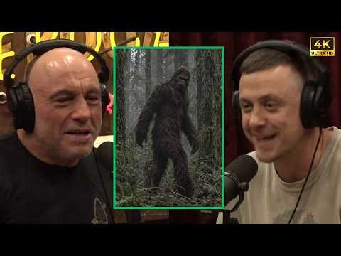 Is Bigfoot Real? What Joe Learned Meeting Bigfoot Hunters | Joe Rogan & Colum Tyrrell #bigfoot