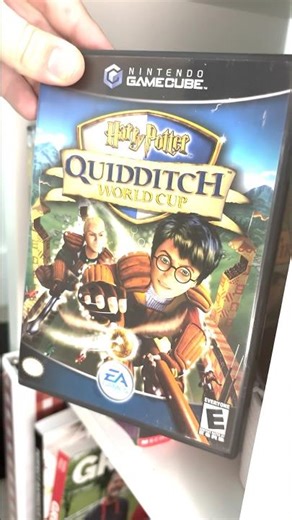 Quidditch World Cup #HarryPotter #Hogwarts #WizardingWorld #PotterHead #Quidditch