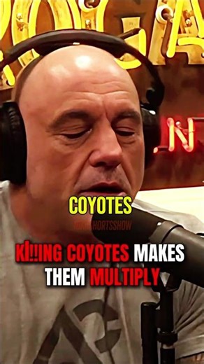 Joe Rogan Explains Coyote Survival Tactics
