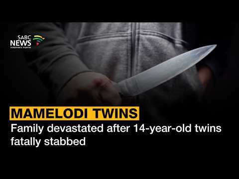 Family devastated after 14-year-old twins fatally stabbed