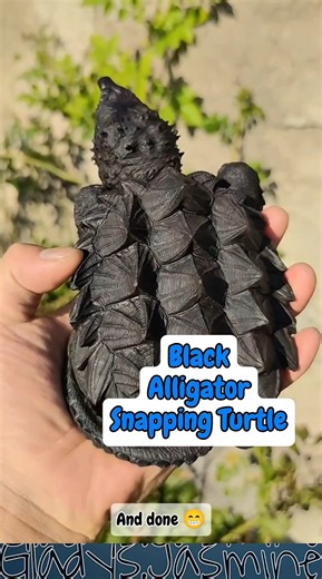 Alligator Snapping Turtle dari Batu🐢