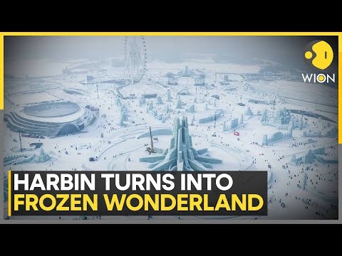 China's Harbin Turns Fairy Tale Fantasy with Biggest-Ever Ice Festival | WION