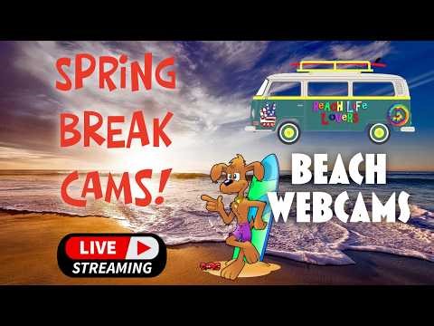 🌴🌊 LIVE Spring Break Beach Webcams | 24/7 Florida Beaches, Myrtle Beach, Clearwater, Waikiki 🌊🌴