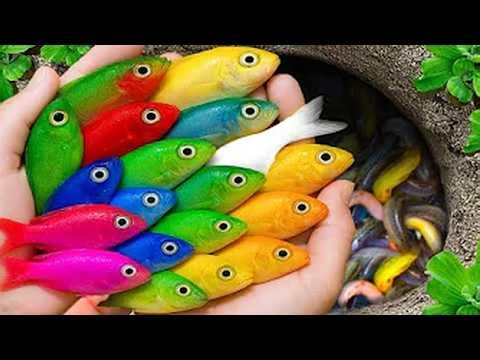 Is This Pond Hiding Treasure? HUGE Turtle & Rare Pencil Fish Found! ✨🐟