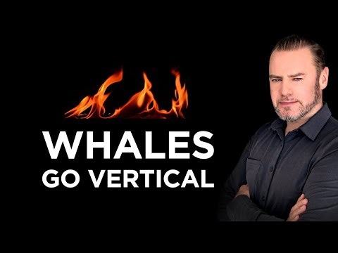 📉Cycle Collapse: 1.4M BTC Vanish, Whales Accumulate & History Rhymes 🏦🐳