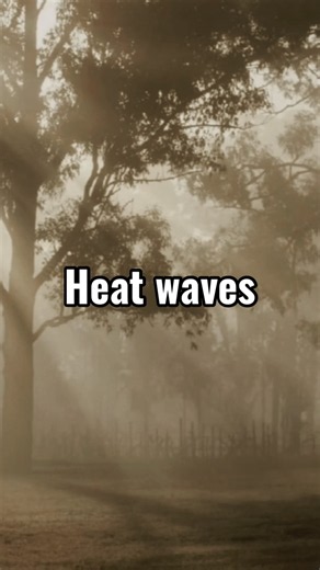 Heat Waves - Glass Animals | lyrics | aesthetic | English songs #HeatWaves #GlassAnimals #Lyrics