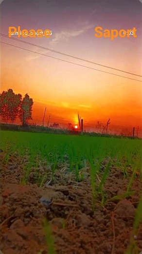 subah ka time 🌅 please saport me guys 🙏🙏#viral #nature #love #minivlog