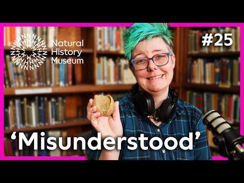 Finding this alive is like finding a plesiosaur in your bathtub | The 'Perfect' Specimen Ep25