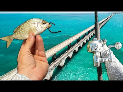 4 Days to Catch Every Prized Fish From Florida Keys Bridges | Snapper, Grouper, Permit, Tarpon