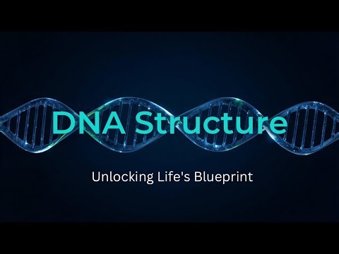 DNA | Deoxyribonucleic acid | polynucleotide chain | Bonding in DNA 