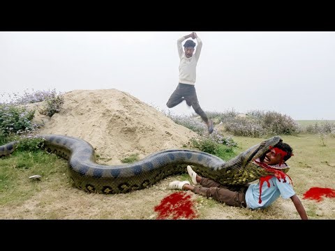 Giant Python Attacks Hunters | Real Life Horror 1
