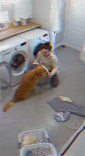 On March 6, 2021, in Spokane, Washington, a homeowner intervened just in time after witnessing his dog place a cat inside a household washing machine. According to the owner, the dog nudged the cat toward the open washer during play, prompting the owner to immediately remove the cat before the machine was turned on. The cat was unharmed, and the incident was later shared as a reminder to keep appliances closed and pets supervised. The videos and stories are made using Ai similar to the real even