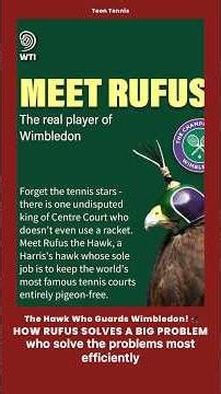 The Hawk Who Guards Wimbledon! 🦅 How Rufus Solves a Big Problem