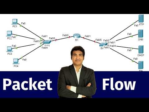 Packet Flow Over Networks | Ping to IP Works, but the Website is not Open