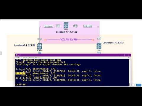 VXLAN Packet Flow with Example | Step-by-Step Packet Flow over VXLAN EVPN with Encapsulation