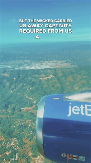 Jamaica Land! #jamaicawalkby #godsowncountry #travel #jamaica #shorts
