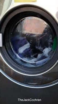 Hey, Watch My Laundry #Shorts -- Episode 49