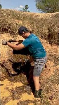 We Opened the Drain and Found a Straw Explosion