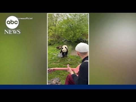 Meet the musician whose audience is the animal kingdom