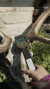 Radioactive Deer Skull Has a Secret...