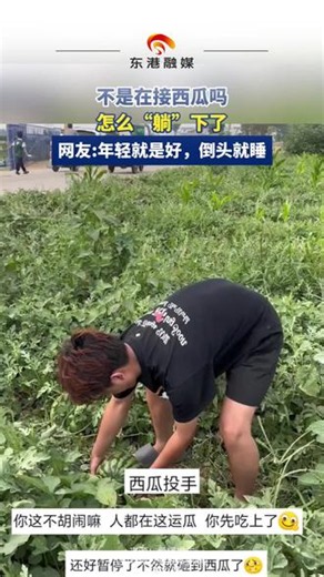 这是真人版植物大战僵尸吗（来源：爱辉发布 编辑：迟）#迷惑行为大赏 #猝不及防 #万万想不到